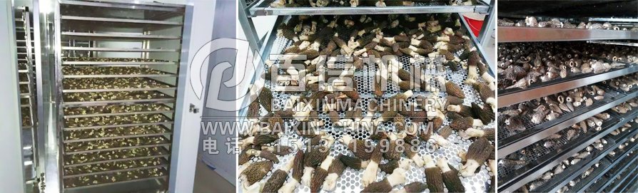 羊肚菌烘干機(jī)